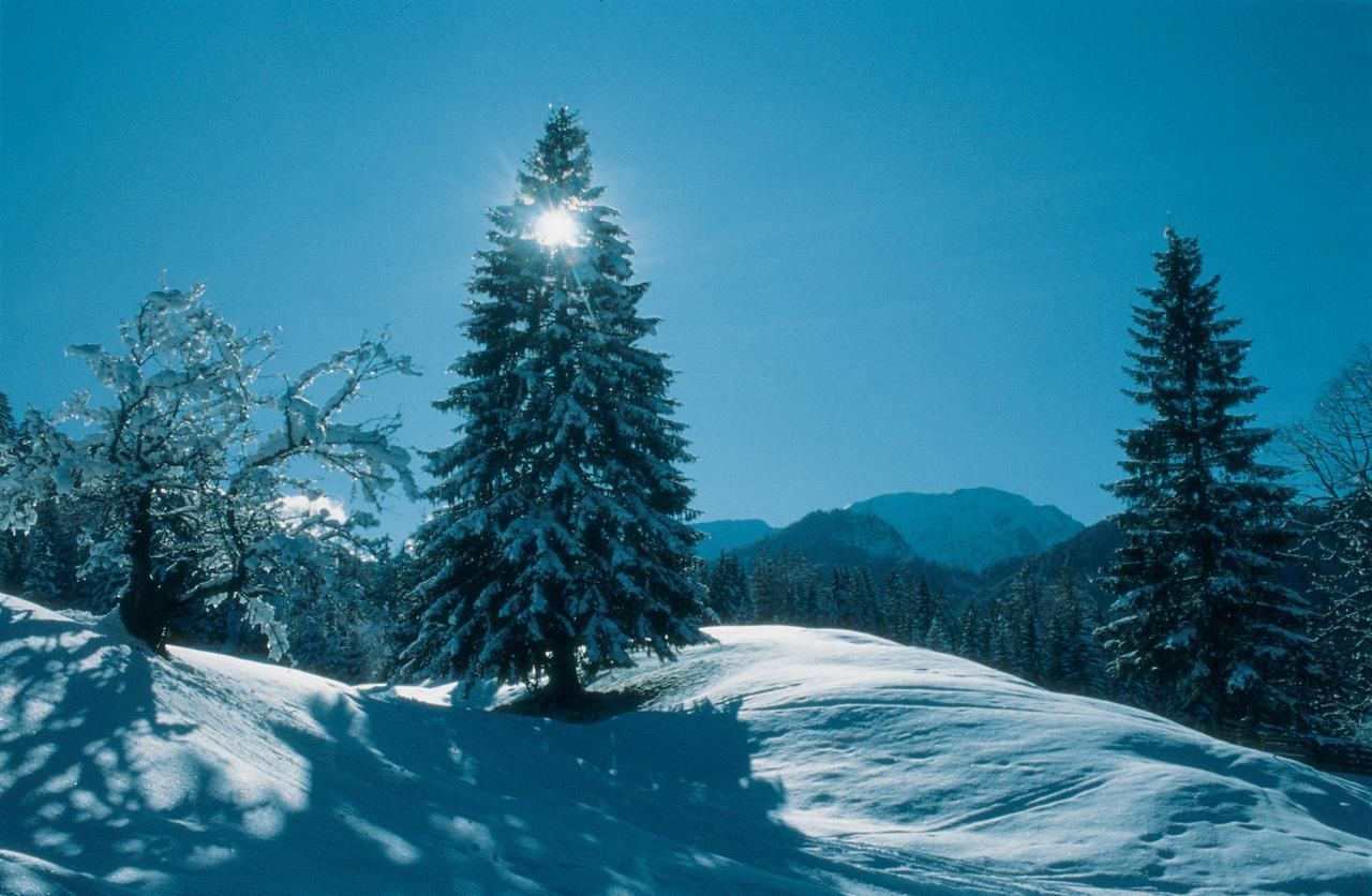 Ferienappartements Oberstbergmeisteramt Obervellach Kültér fotó